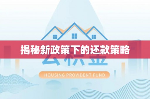 开江揭秘新政策下的还款策略