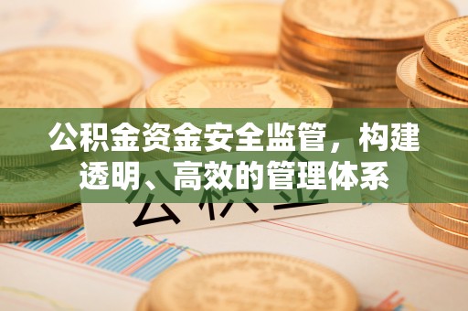 开江公积金资金安全监管，构建透明、高效的管理体系