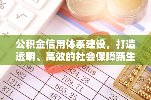 开江公积金信用体系建设，打造透明、高效的社会保障新生态