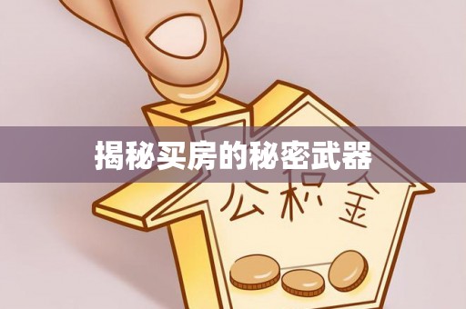 开江揭秘买房的秘密武器