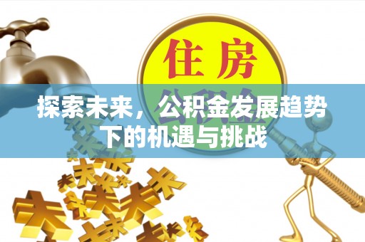 开江探索未来，公积金发展趋势下的机遇与挑战