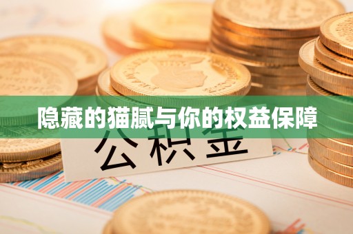 开江隐藏的猫腻与你的权益保障