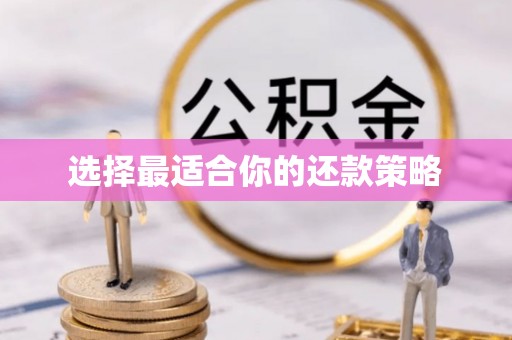 开江选择最适合你的还款策略