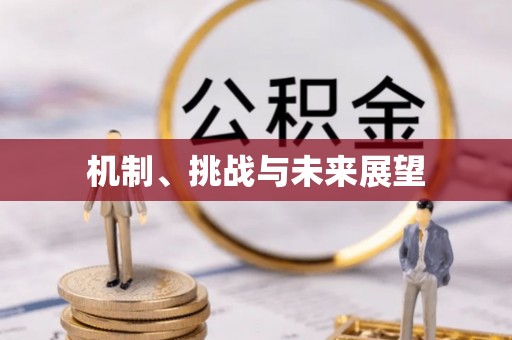 开江机制、挑战与未来展望